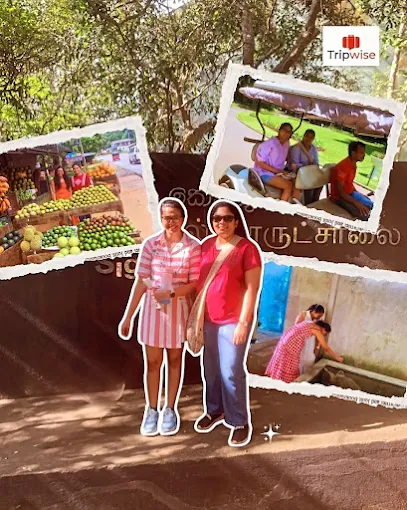 Tripwise traveler gallery photo