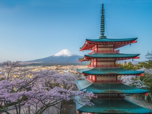 Japan - Custom Tour